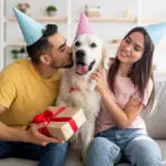 Psychology Behind Buying Gifts for Your Pets