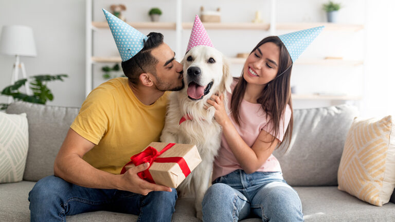 Gifts for pets with a man and woman sitting on either side of a golden retriever all wearing party hats with the man holding a gift.