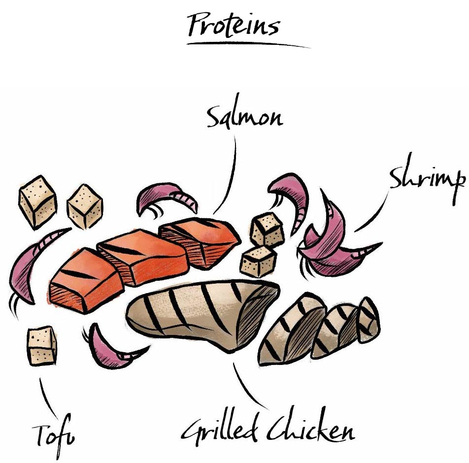 How to make a salad with an illustration of different proteins one would put in a salad.