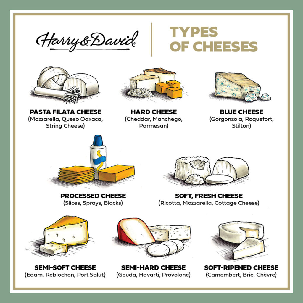 Types of cheese infographic