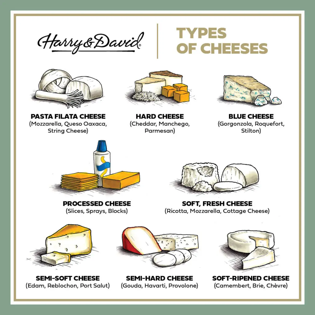 11 Types of Cheese You Should Know