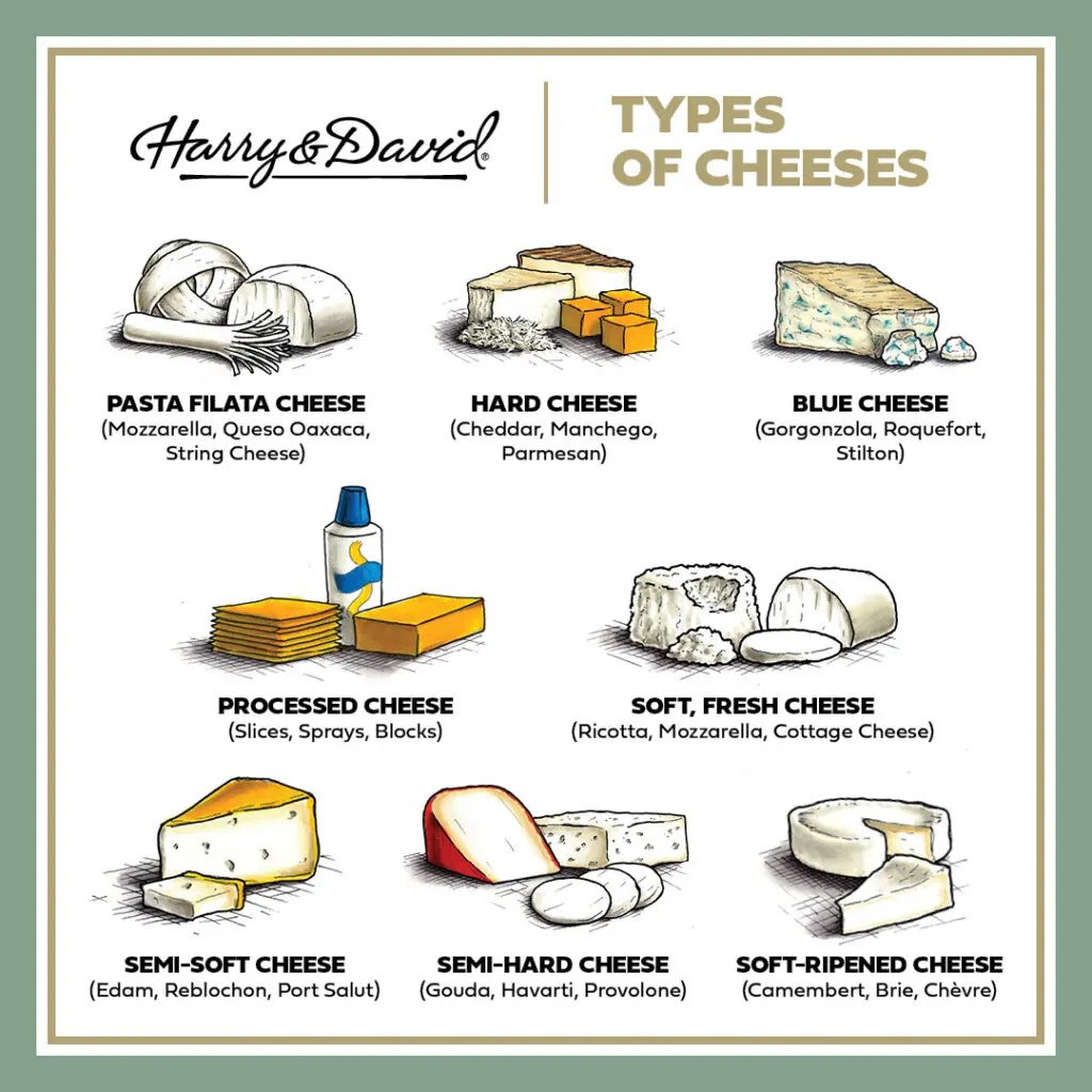 30 Types of Cheese - Popular Varieties of Cheeses