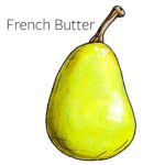 Types of pears with an illustration of a French butter pear.