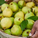 The Perfect Pear: A Look at the Variety and Countless Uses For This One-of-a-Kind Fruit