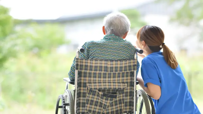 Types of caregivers with a caregiver and an elderly man in a wheelchair looking at a lake.