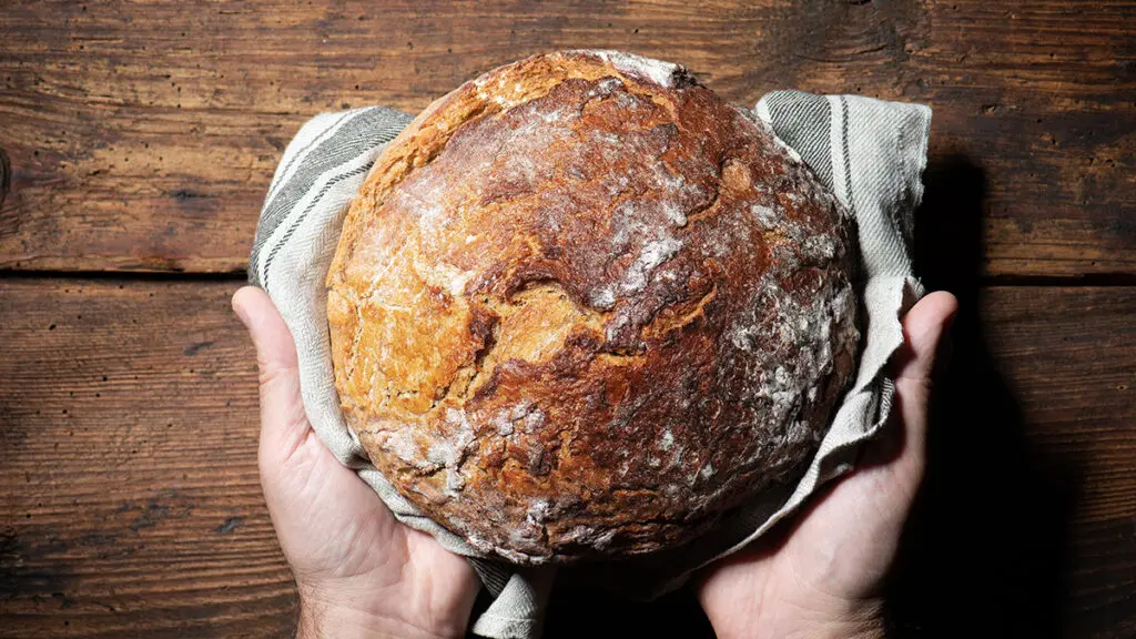 Loaf of bread in hands.