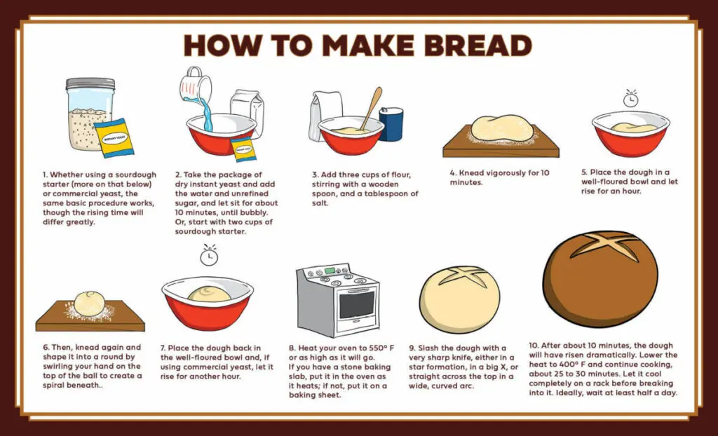 how to make bread infographic horizontal