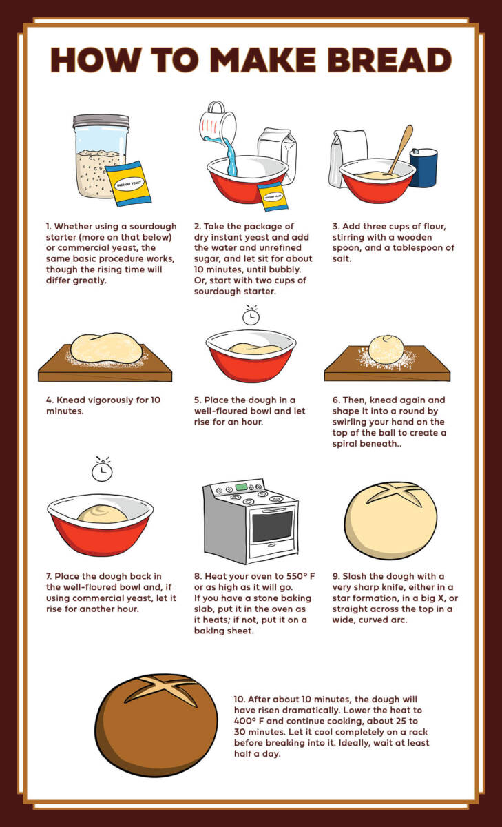 how to make bread infographic vertical
