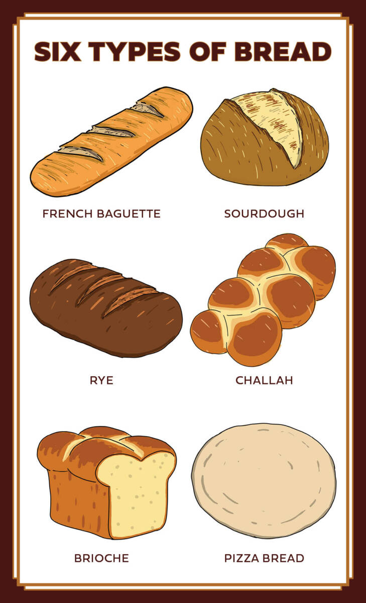 types of bread infographic vertical
