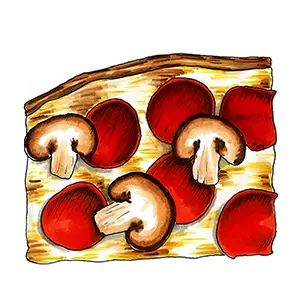 Types of pizza with a drawing of Chicago tavern style pizza.
