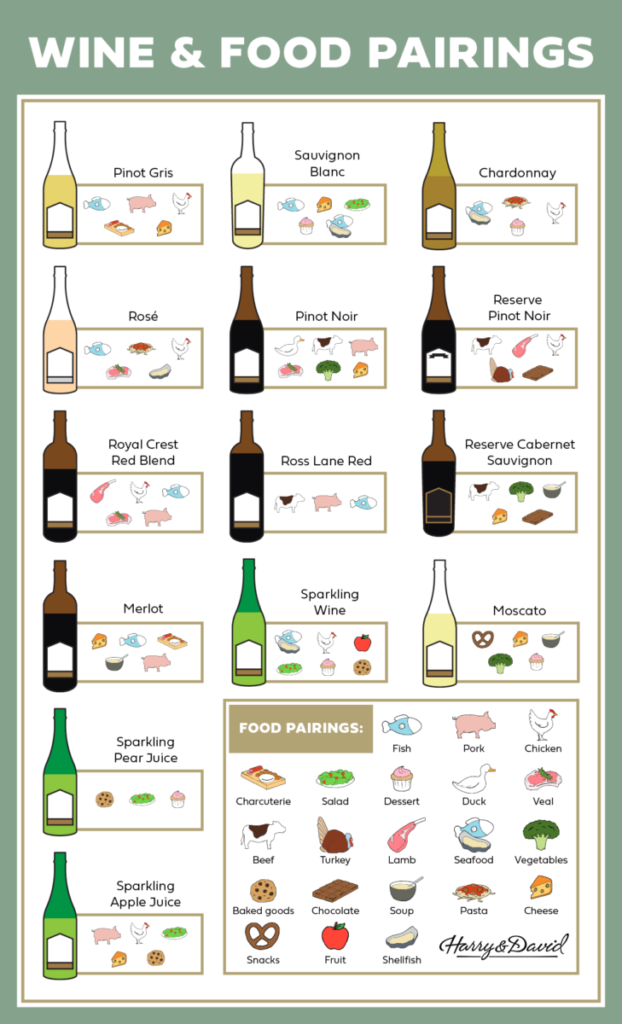 wine infographic vertical