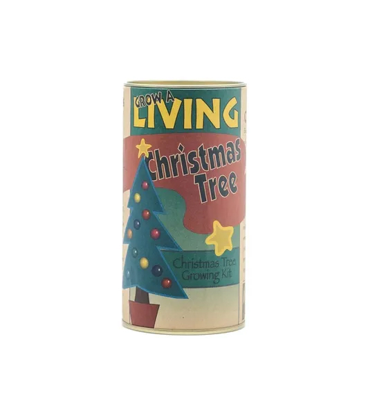 White elephant gift ideas with a Christmas tree growing kit.