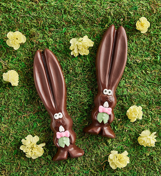 Chocolate bunnies on grass with flowers.