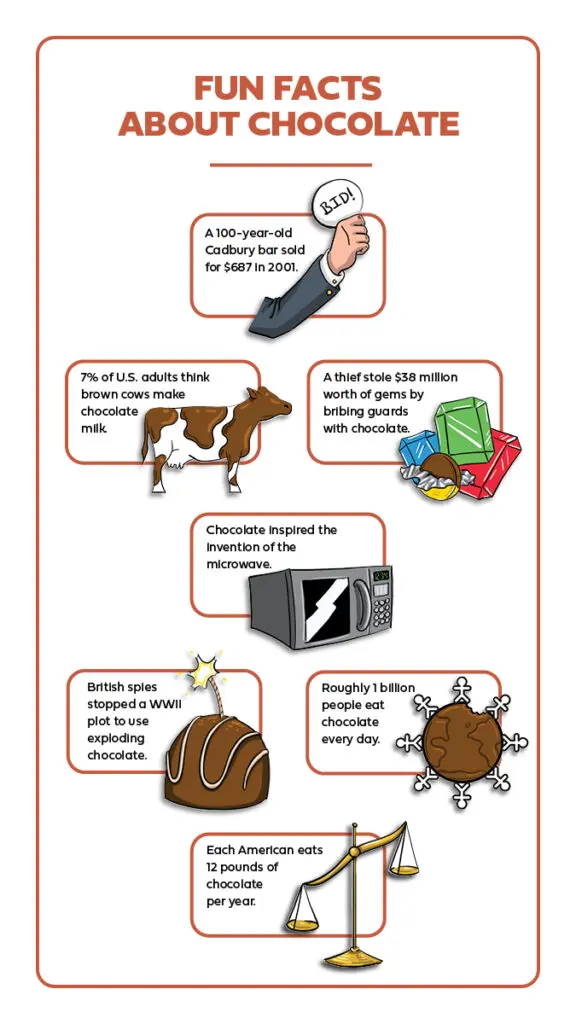 Types of chocolate facts infographic, vertical.