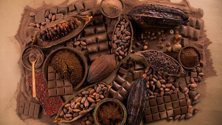 Types of chocolate arranged on a table.