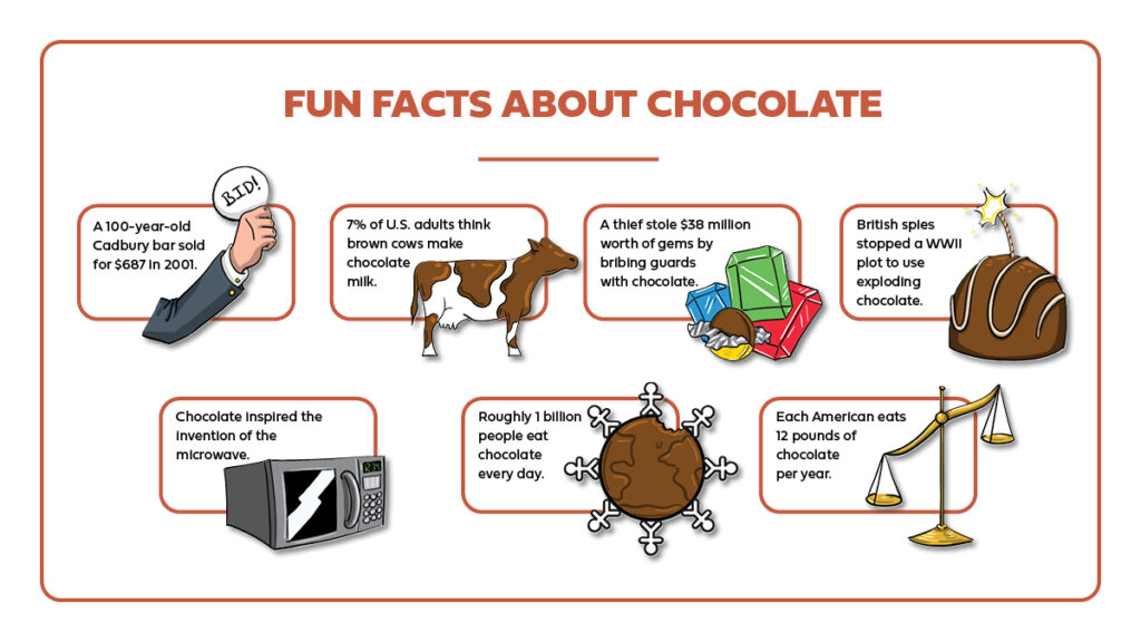 Types of chocolate facts infographic, horizontal