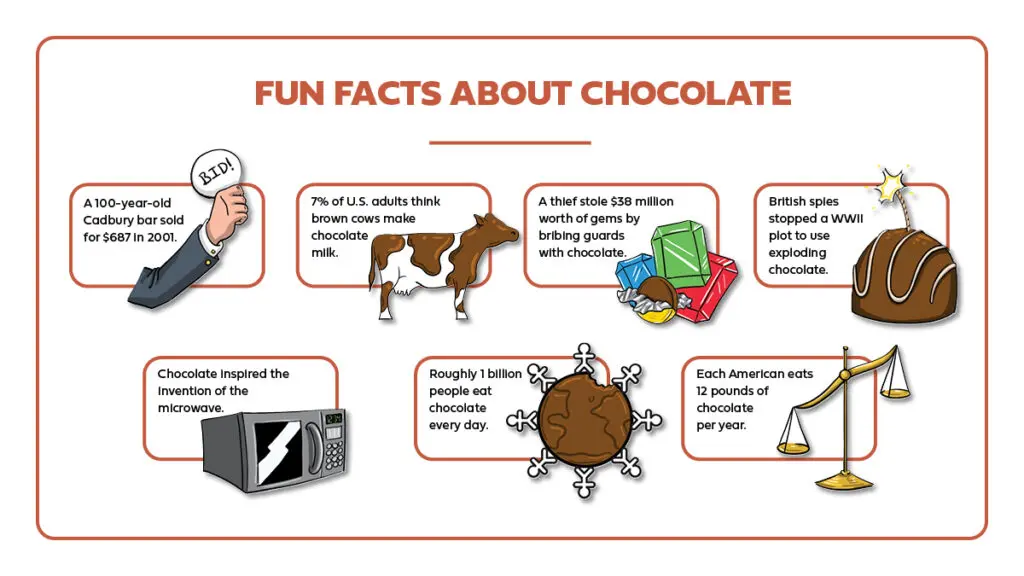 Types of chocolate facts infographic, horizontal