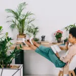 7 Best Office Plants for Your Desk at Work