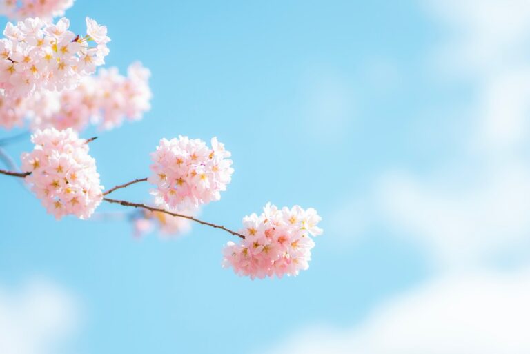 flowers blue sky facts about spring