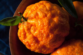 gold nugget mandarin 1