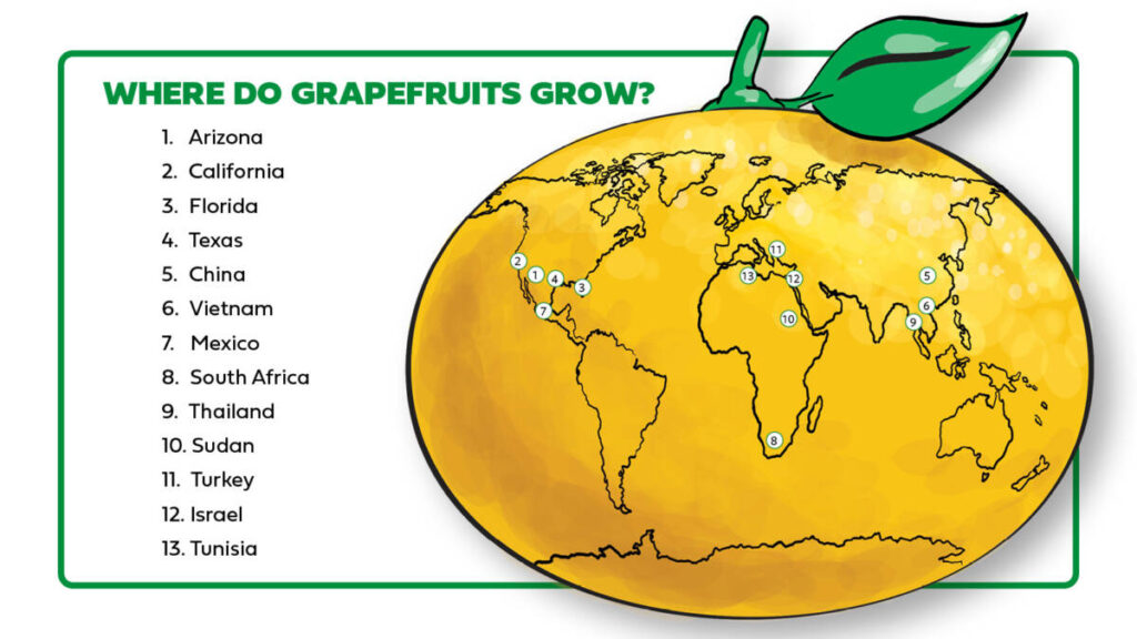 List of grapefruit growing locations with a drawing of a map on a grapefruit.