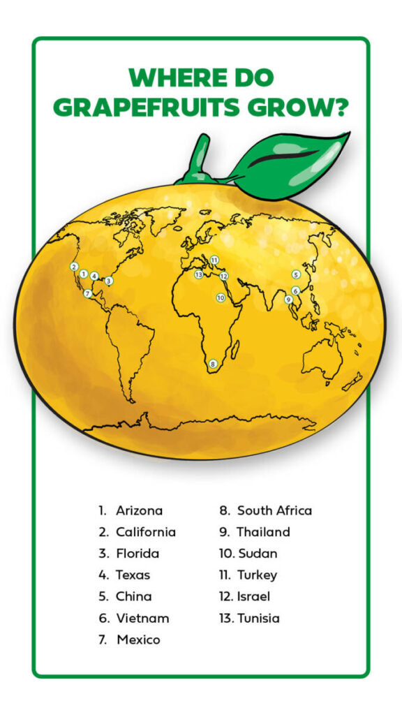 List of grapefruit growing locations with a drawing of a map on a grapefruit.