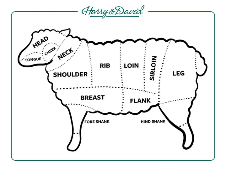 lamb meat cuts chart