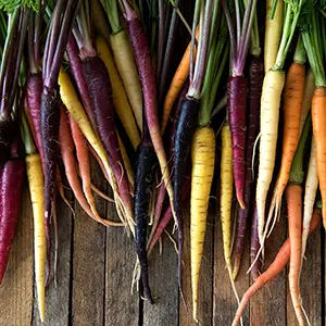 Multi-colored carrots on a wooden table.