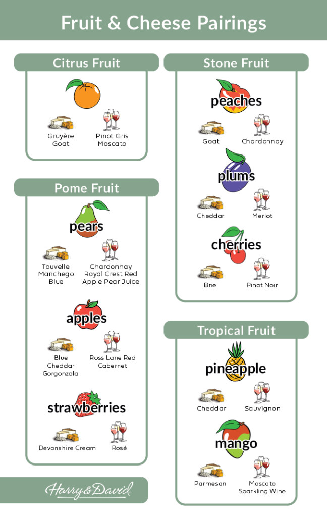 Fruit and cheese pairing vertical infographic