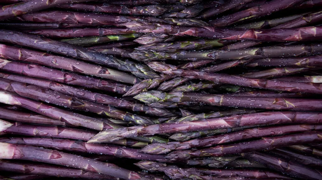 Purple asparagus