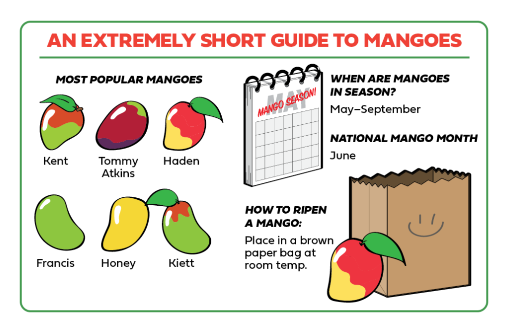Horizontal infographic of facts about mangoes.