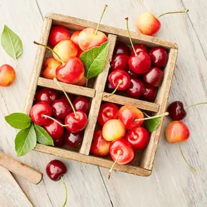 mangoes types of cherries