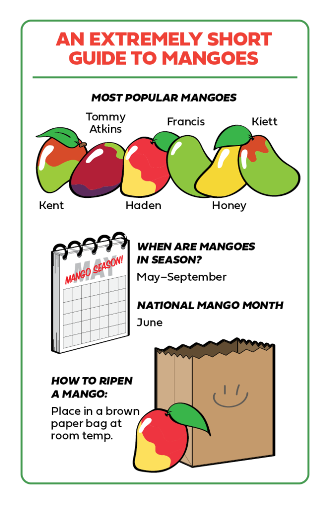 Vertical infographic of facts about mangoes