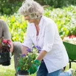 5 Health Benefits of Gardening