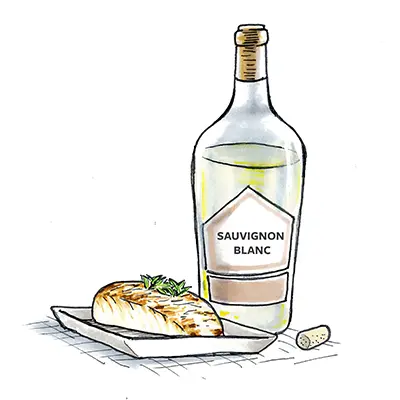Drawing of a bottle of sauvignon blanc next to a plate of cooked halibut.
