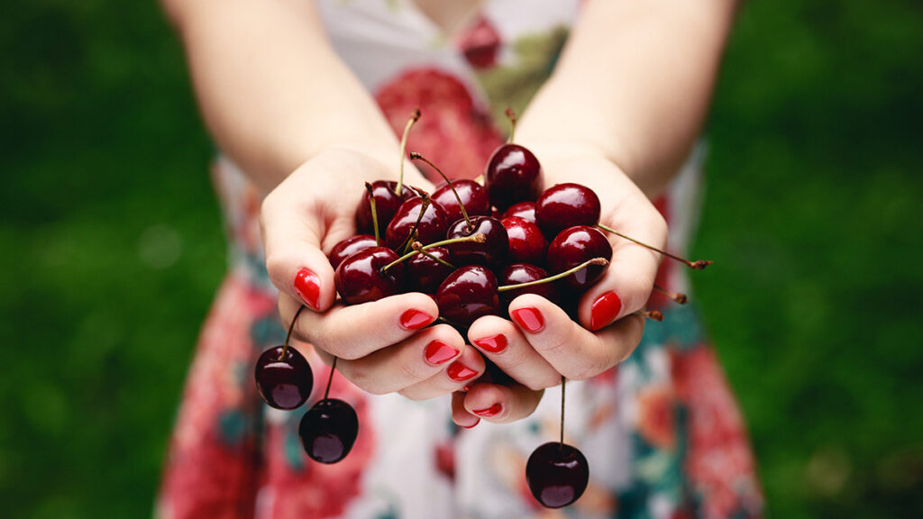 Types of cherries in a pair of hands.