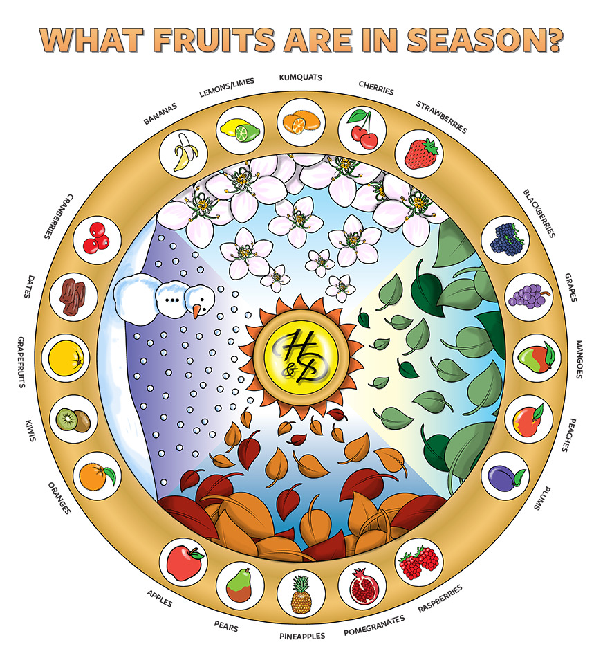 Infographic of what fruits are in season with Harry & David crest in the middle.