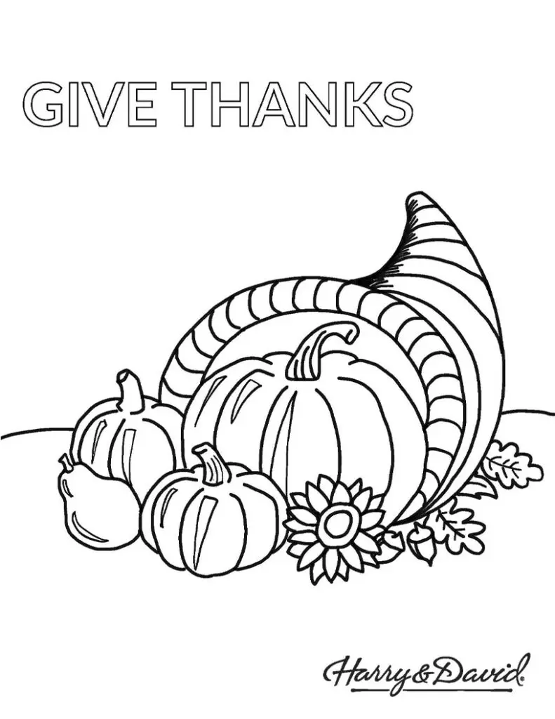 Harry and David Thanksgiving Coloring Page 5