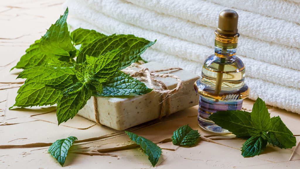 history of peppermint oil leaves