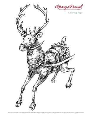 Harry & David Christmas Printable Page 14