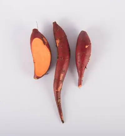 Burgundy sweet potatoes with a white background.