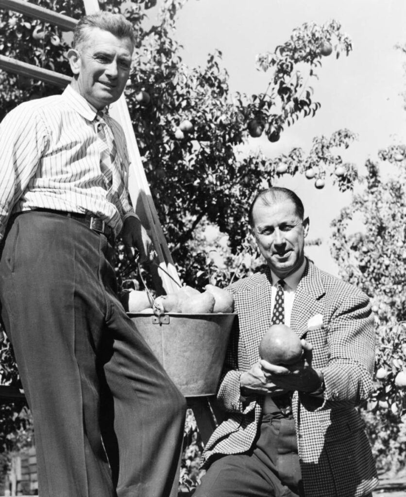 harry and david founders fruit bucket