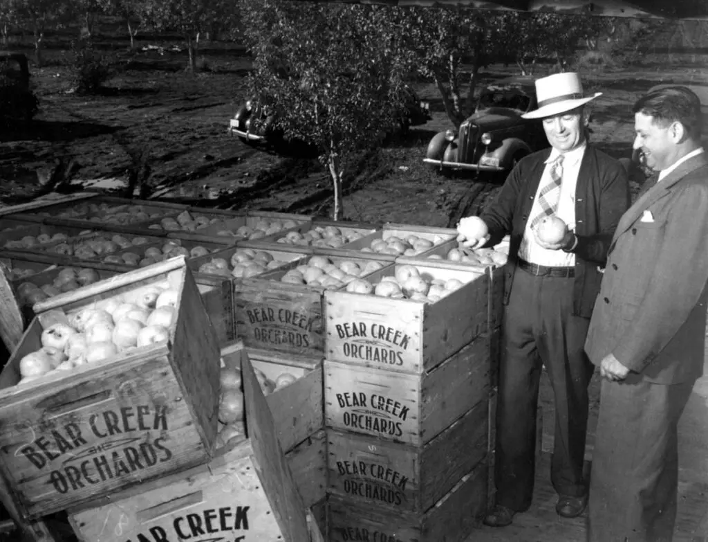 Who are Harry and David? The Table by Harry & David