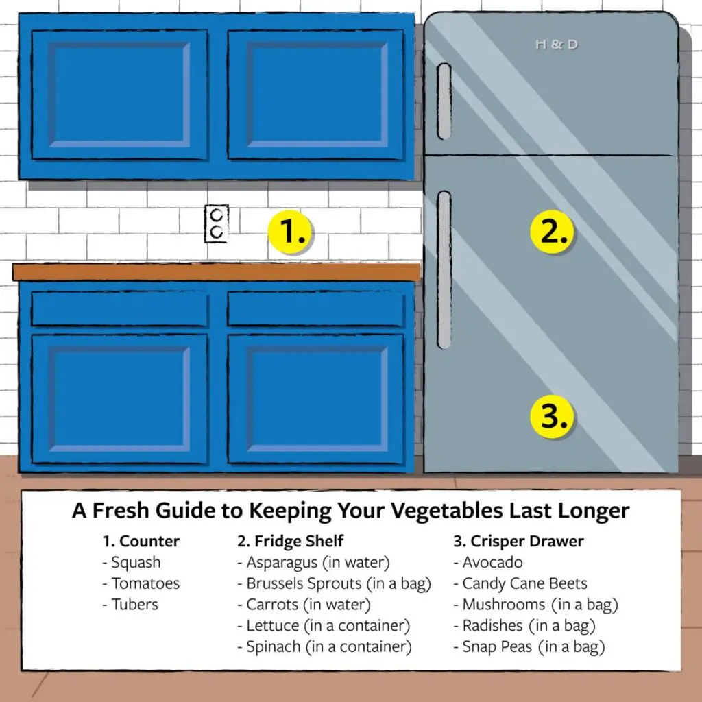 how to keep vegetables fresh infographic