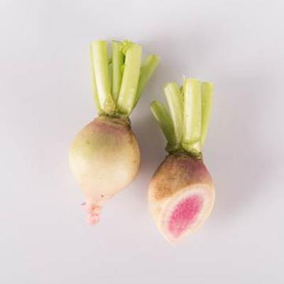 Watermelon radishes on a white background.